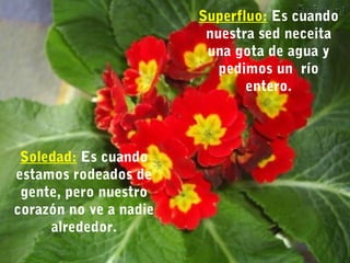 Superfluo: Es cuando 
nuestra sed neceita 
una gota de agua y 
pedimos un río 
entero. 
Soledad: Es cuando 
estamos rodeados de 
gente, pero nuestro 
corazón no ve a nadie 
alrededor. 
 