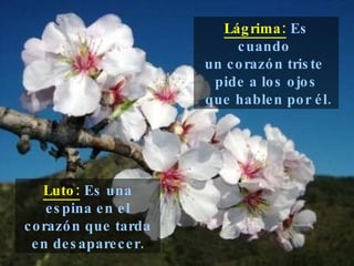 Lágrima:  Es cuando  un corazón triste  pide a los ojos que hablen por él. Luto:  Es una espina en el corazón que tarda en desaparecer. 