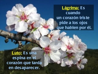 Lágrima:  Es cuando  un corazón triste  pide a los ojos que hablen por él. Luto:  Es una espina en el corazón que tarda en desaparecer. 