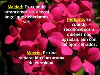 Maldad:   Es cuando arrancamos las alas al ángel que deberíamos ser. Muerte:   Es una separación com aroma de eternidad. Perfume:   Es cuando reconocemos a quienes nos agradan, aun con los ojos cerrados. 