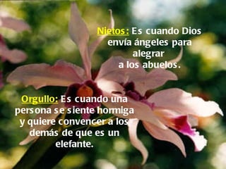 Nietos:   Es cuando Dios envía ángeles para alegrar  a los abuelos. Orgullo:   Es cuando una persona se siente hormiga y quiere convencer a los demás de que es un elefante. 