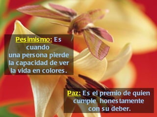 Paz:  Es el premio de quien cumple  honestamente con su deber. Pesimismo:  Es cuando  una persona pierde la capacidad de ver la vida en colores. 