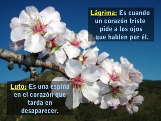 Lágrima: Es cuando
un corazón triste
pide a los ojos
que hablen por él.
Luto: Es una espina
en el corazón que
tarda en
desaparecer.
 
