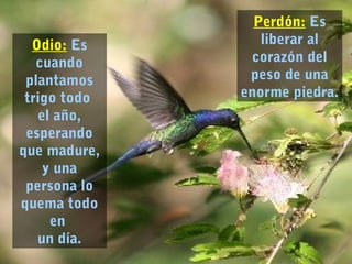 Odio: Es
cuando
plantamos
trigo todo
el año,
esperando
que madure,
y una
persona lo
quema todo
en
un día.
Perdón: Es
liberar al
corazón del
peso de una
enorme piedra.
 