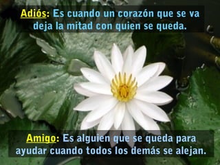 Amigo: Es alguien que se queda para
ayudar cuando todos los demás se alejan.
Adiós: Es cuando un corazón que se va
deja la mitad con quien se queda.
 