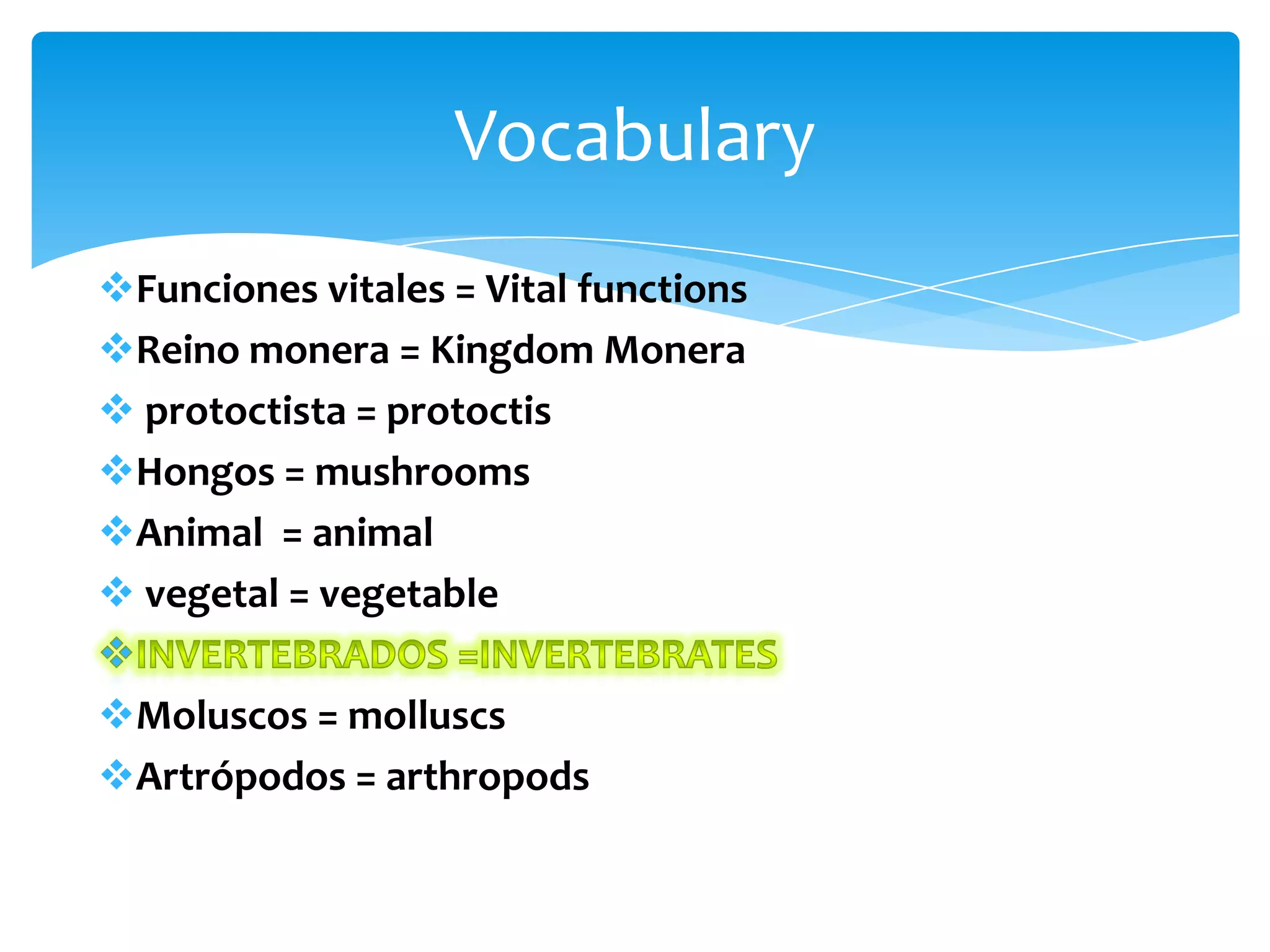 Vocabulario de los seres vivos en inglés | PPTX