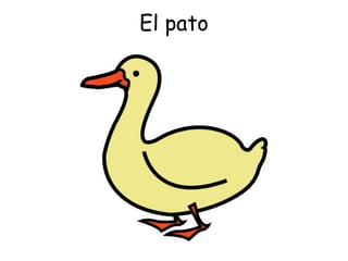 El pato 