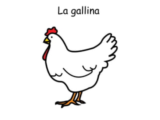 La gallina  