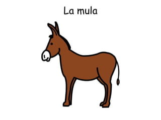 La mula 