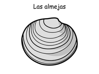 Las almejas 