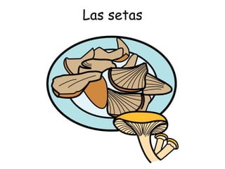 Las setas 