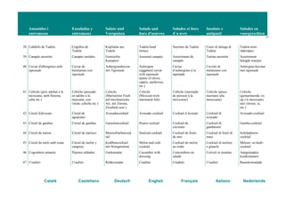 Amanides i
entremesos
Ensaladas y
entremeses
Salate und
Vorspeisen
Salads and
hors d'oeuvres
Salades et hors
d´œuvre
Insalate e
antipasti
Salades en
voorgerechten
11
Català Castellano Deutsch English Français Italiano Nederlands
38 Cabdells de Tudela Cogollos de
Tudela
Kopfsalat aus
Tudela
Tudela head
lettuce
Sucrines de Tudela Cuori di lattuga di
Tudela
Tudela mini-
slakropjes
39 Canapès assortits Canapés surtidos Gemischte
Kanapees
Assorted canapés Assortiment de
canapés
Tartine assortite Assortiment
belegde toastjes
40 Caviar d'albergínies amb
tapenade
Caviar de
berenjenas con
tapenade
Auberginenkaviar
mit Tapenade
Aubergine
(eggplant) caviar
with tapenade
(paste of olives,
capers, anchovies,
etc.)
Caviar
d’aubergines à la
tapenade
Caviale di
melanzane con
tapenade
Aubergine-kaviaar
met tapenade
41 Cebiche (peix adobat a la
mexicana, amb llimona,
ceba etc.)
Cebiche (pescado
en adobo a la
mejicana, con
limón, cebolla etc.)
Cebiche
(Marinierter Fisch
auf mexikanische
Art, mit Zitrone,
Zwiebeln usw.)
Cebiche
(Mexican-style
marinated fish)
Cebiche (marinade
de poisson à la
mexicaine)
Cebiche (pesce
marinato alla
messicana)
Cebiche
(gemarineerde vis
op z’n mexicaans
met citroen, ui,
etc.)
42 Còctel d'alvocats Cóctel de
aguacates
Avocadococktail Avocado cocktail Cocktail d’avocats Cocktail di
avocado
Avocado-cocktail
43 Còctel de gambes Cóctel de gambas Garnelencocktail Prawn cocktail Cocktail de
crevettes
Cocktail di
gamberetti
Gamba-cocktail
44 Còctel de marisc Cóctel de marisco Meeresfrüchtecock
tail
Seafood cocktail Cocktail de fruits
de mer
Cocktail di frutti di
mare
Schelpdieren-
cocktail
45 Còctel de meló amb cranc Cóctel de melón y
cangrejo
Krabbencocktail
mit Honigmelone
Melon and crab
cocktail
Cocktail de melon
au crabe
Cocktail di melone
e granchi
Meloen- en krab-
cocktail
46 Cogombres amanits Pepinos aliñados Gurkensalat Cucumber with
dressing
Concombres en
salade
Cetrioli in insalata Aangemaakte
komkommers
47 Crudités Crudités Rohkostsalat Crudités Crudités Crudités Rauwkostsalade
 