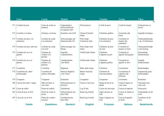 Carn Carne Fleisch Meat Viandes Carne Vlees
64
Català Castellano Deutsch English Français Italiano Nederlands
571 Confitat de porc Carne de cerdo en
manteca
Eingemachtes
Schweinefleisch
im eigenen Saft
Pork preserve Confit de porc Confit di maiale Varkensvlees in
reuzel
572 Costelles a la brasa Chuletas a la brasa Koteletts vom Grill Charcoil broiled
chops
Côtelettes grillées Costolette alla
brace
Gegrilde koteletjes
573 Costelles de porc a la
cantonesa
Costillas de cerdo
a la cantonesa
Schweinerippe auf
kantonesische Art
Pork chops
Cantonese style
Côtelettes de porc
à la cantonaise
Costolette di
maiale alla
cantonese
Varkenskarbonade
s op z’n Kantonees
574 Costelles de porc amb mel Costillas de cerdo
con miel
Schweinerippe mit
Honig
Pork chops with
honey
Côtelettes de porc
au miel
Costolette di
maiale al miele
Varkenskarbonade
s met honing
575 Costelles de xai a la
graella
Chuletas de
cordero a la
parrilla
Gegrillte
Lammkoteletts
Grilled lamb chops Côtelettes
d’agneau au gril
Costolette di
agnello alla griglia
Geroosterde
lamskoteletjes
576 Costelles de xai a la
planxa
Chuletas de
cordero a la
plancha
Lammkoteletts
vom Blech
Grilled lamb chops Côtelettes
d’agneau grillées
Costolette di
agnello ai ferri
Gegilde
lamskoteletjes
577 Costelletes Costillitas Rippchen Baby lamb chops Côtelettes Costolettine Karbonaadjes
578 Costelletes de cabrit
arrebossades
Costillitas de
cabrito rebozadas
Panierte Ripplein
vom Zickel
Batter-fried kid
chops
Côtelettes de
chevreau panées
Costolettine di
capretto alla
milanese
Gepaneerde geite-
karbonaadjes
579 Croquetes Croquetas Kroketten Croquettes Croquettes Crocchette Kroketten
580 Cua de bou amb vi negre Rabo de buey al
vino tinto
Ochsenschwanz in
Rotwein
Oxtail in red wine Queue de bœ uf en
daube
Coda di manzo al
vino rosso
Ossestaart met
rode wijn
581 Cuixa de cabrit Pierna de cabrito Zickelkeule Leg of kid Cuisse de chevreau Coscia di capretto Geite-poot
582 Cuixa de porc al forn Pernil de cerdo al
horno
Schweinskeule aus
dem Ofen
Roast leg of pork Gigot de porc au
four
Coscia di maiale al
forno
Varkensham uit de
oven
583 Cuixa de xai al forn Pierna de cordero
al horno
Lammkeule aus
dem Ofen
Roast leg of lamb Gigot d’agneau au
four
Coscia di agnello
al forno
Lamsbout uit de
oven
 