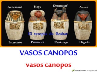VASOS CANOPOS
vasos canopos
 