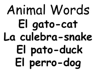 Animal Words
El gato-cat
La culebra-snake
El pato-duck
El perro-dog
 