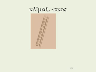 κλῖμαξ, -ακος




                178
 