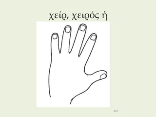 χείρ, χειρός ἡ




                 307
 