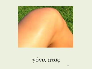 γόνυ, ατος
             55
 