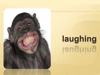 laughing
 