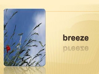 breeze
 