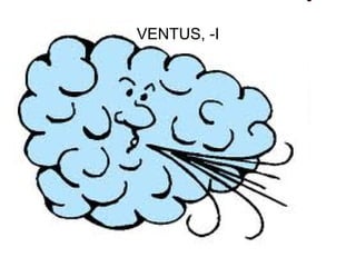 VENTUS, -I




             109
 