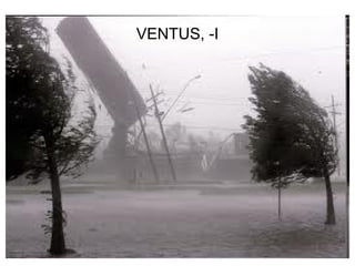 VENTUS, -I




             110
 