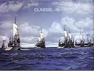 CLASSIS, -IS




               15
 