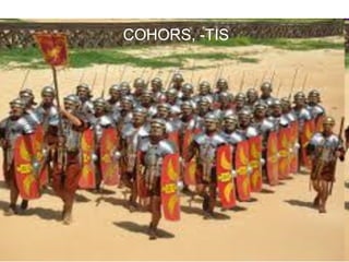 COHORS, -TIS




               16
 