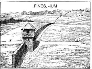 FINES, -IUM




              37
 
