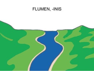 FLUMEN, -INIS




                38
 