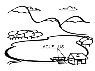 LACUS, -US



             55
 