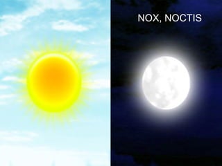 NOX, NOCTIS




    70
 