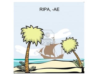 RIPA, -AE




            85
 