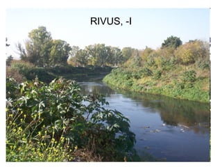 RIVUS, -I




            87
 