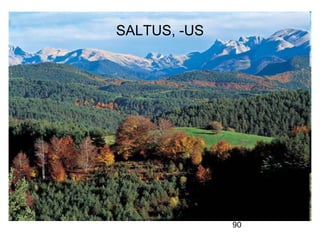 SALTUS, -US




              90
 