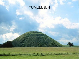 TUMULUS, -I




              99
 