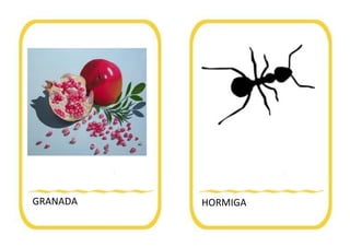 GRANADA HORMIGA