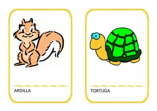 ARDILLA TORTUGA