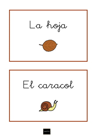La hoja
El caracol
 