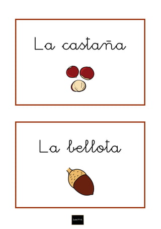 La castaña
La bellota
 