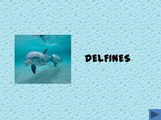 DELFINES
 