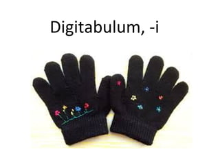Digitabulum, -i
 