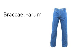 Braccae, -arum
 