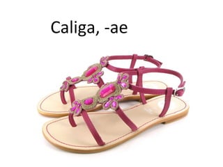 Caliga, -ae
 