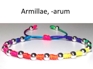 Armillae, -arum
 