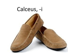 Calceus, -i
 