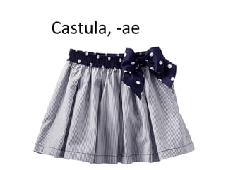 Castula, -ae
 