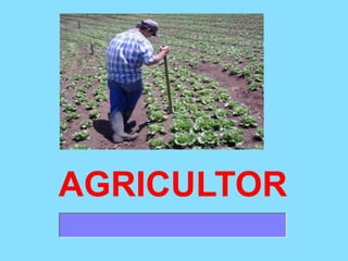 AGRICULTOR