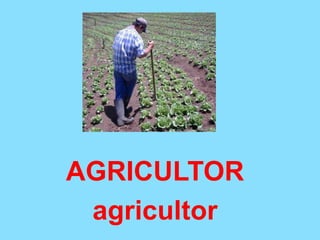 AGRICULTOR
agricultor