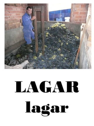 LAGAR
lagar